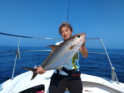 カンパチ･カツオ･キハダ釣りプラン