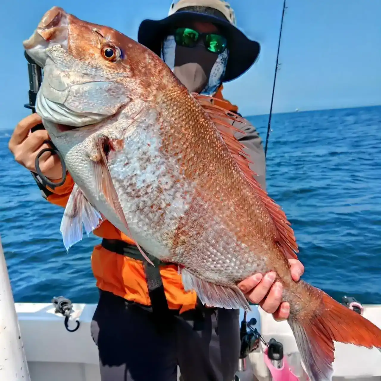 【遠征でたっぷり満喫】湾中央・1日釣りプラン