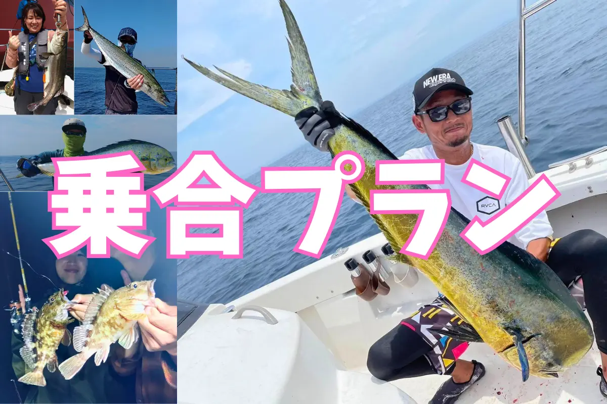 乗合プラン